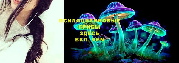 шишки Нефтекумск