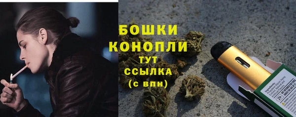 шишки Нефтекумск