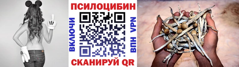 цены   Красновишерск  Псилоцибиновые грибы GOLDEN TEACHER 